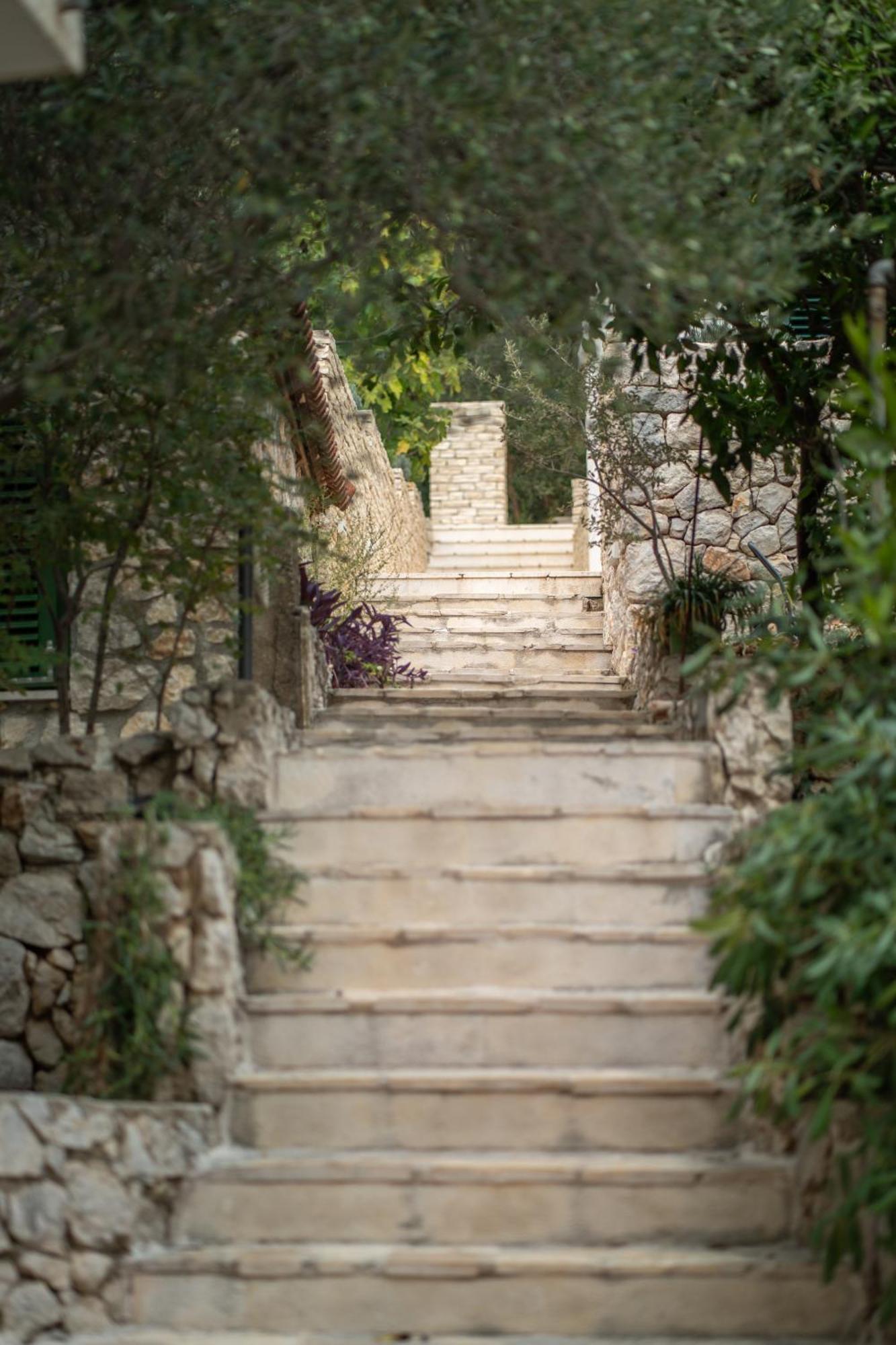 זיווגוסצה Apartments Maestral מראה חיצוני תמונה