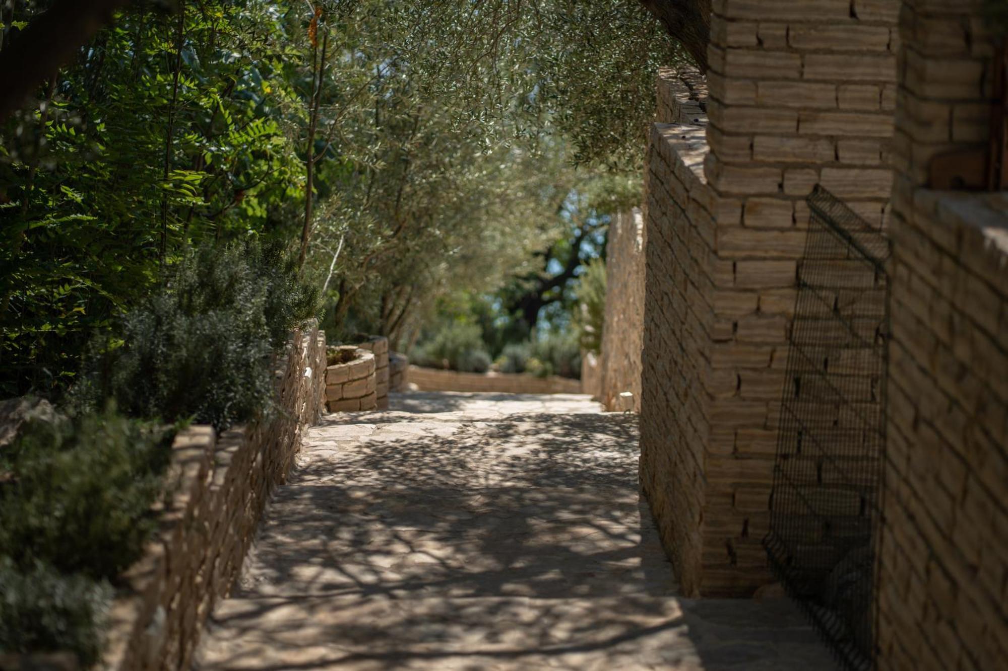 זיווגוסצה Apartments Maestral מראה חיצוני תמונה
